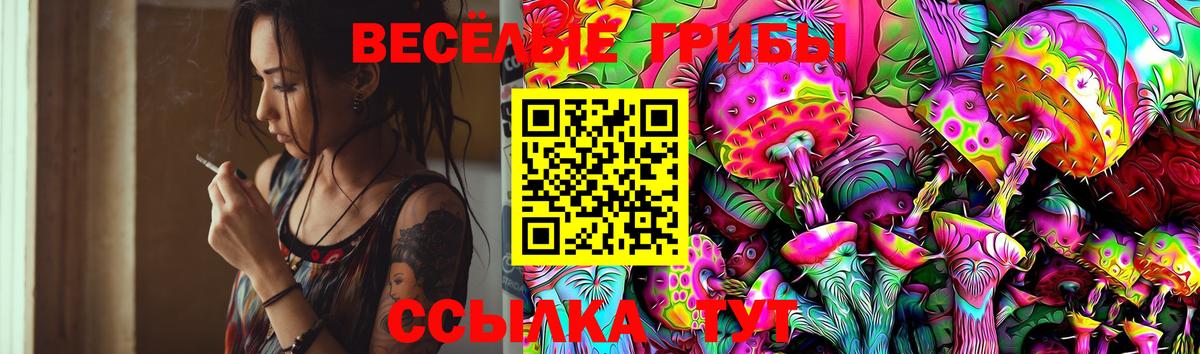 Псилоцибиновые грибы MAGIC MUSHROOMS Апрелевка