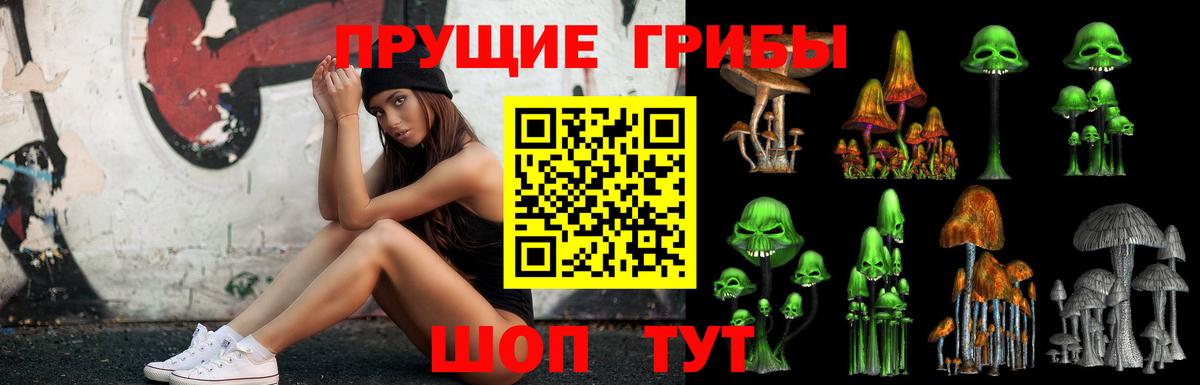 Апрелевка  Псилоцибиновые грибы Cubensis  купить наркотик  Вход с VPN 